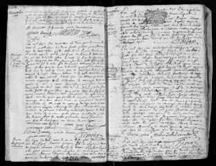 44 vues  - Registre paroissial. Baptêmes, mariages, sépultures (octobre 1733-décembre 1739) (ouvre la visionneuse)
