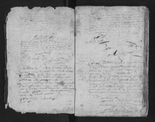 111 vues  - Registre paroissial. Baptêmes (1660-novembre 1678) ; mariages (février 1600-septembre 1678) (ouvre la visionneuse)