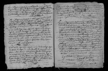 27 vues  - Registre paroissial. Baptêmes, mariages, sépultures (mars 1733-février 1734) (ouvre la visionneuse)