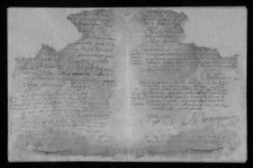 8 vues Registre paroissial. Bbaptêmes, mariages, sépultures (janvier-novembre 1704)