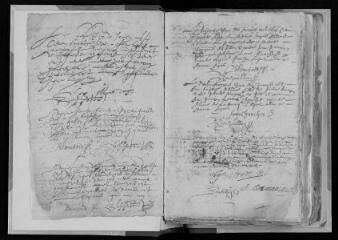 214 vues  - Registre paroissial des baptêmes (1647-1659) (ouvre la visionneuse)