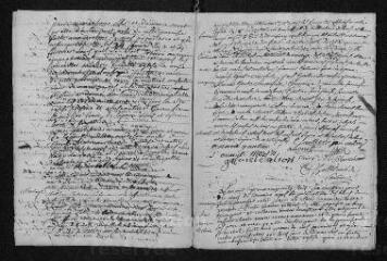 14 vues  - Registre paroissial. Baptêmes, mariages (1753-février 1754) (ouvre la visionneuse)