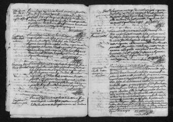 13 vues  - Registre paroissial. Baptêmes, mariages, sépultures (1738-février 1739) (ouvre la visionneuse)