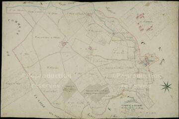 1 vue Busloup : plans du cadastre napoléonien. Section E1 dite du bourg