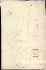 1 vue  - Chambord : plans du cadastre napoléonien. Section C dite du pavillon de saint-dyé à celui de muides (ouvre la visionneuse)