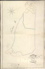 1 vue  - Chambord : plans du cadastre napoléonien. Section D dite du pavillon de muides au pinay (ouvre la visionneuse)