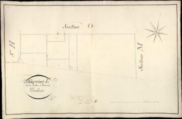 1 vue  - Chambord : plans du cadastre napoléonien. Section L dite du pavillon de bracieux (ouvre la visionneuse)