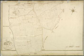 1 vue  - Contres : plans du cadastre napoléonien. Section L1 dite du hameau de cornilly (ouvre la visionneuse)