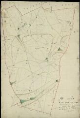 1 vue  - Ferté-Saint-Cyr (La) : plans du cadastre napoléonien. Section C1 dite des Bignons (ouvre la visionneuse)