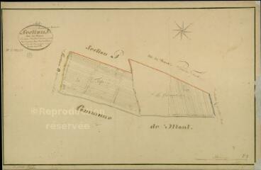 1 vue  - Huisseau-sur-Cosson : plans du cadastre napoléonien. Section P2 dite des Veaux (ouvre la visionneuse)