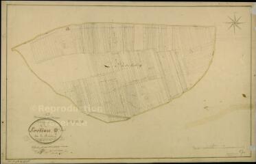 1 vue  - Huisseau-sur-Cosson : plans du cadastre napoléonien. Section Q dite du Richebourg (développement) (ouvre la visionneuse)