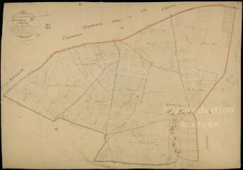 1 vue  - Ouzouer-le-Doyen : plans du cadastre napoléonien. Section D1 dite d'hauville (ouvre la visionneuse)