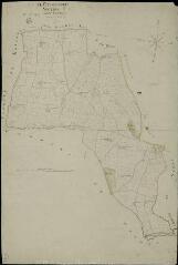 1 vue Plessis-Dorin (Le) : plans du cadastre napoléonien. Section C dite de la grande fauvellière