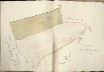 1 vue Rilly-sur-Loire : plans du cadastre napoléonien. Section C1. Seul existe le TA d'origine, le reste des planches date du XXè siècle et reproduit le plan de 1809. Ce sont donc les planches de l'atlas 3 P 2