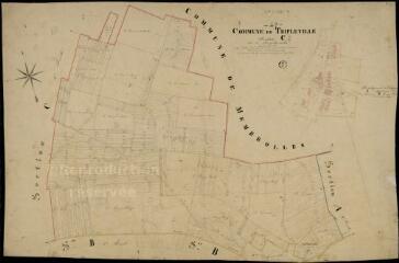 1 vue  - Tripleville : plans du cadastre napoléonien. Section C2 dite de Manthierville (ouvre la visionneuse)