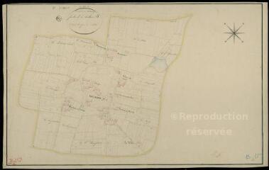 1 vue Villemardy : plans du cadastre napoléonien. Section B2 dite de Villammoy (développement)