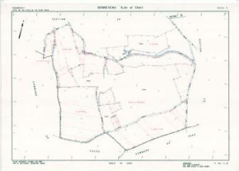 1 vue Bonneveau (Commune de) : plan de remembrement. Section ZI