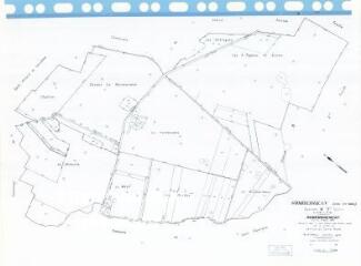 1 vue Gombergean (Commune de) : plan de remembrement. Section B3