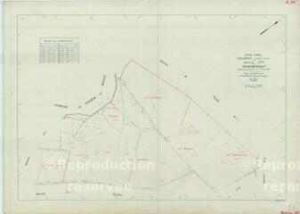 1 vue Nourray (Commune de) : plan de remembrement. Section ZN