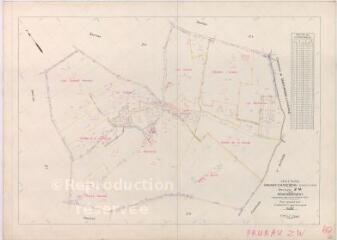 1 vue Prunay-Cassereau (Commune de) : plan de remembrement. Section ZW