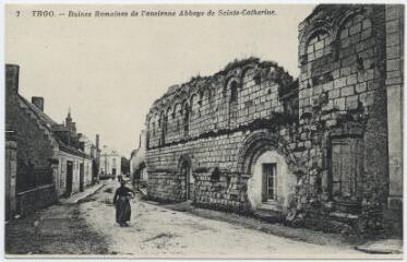 1 vue Ruines Romaines de l'ancienne abbaye de Sainte-Catherine.