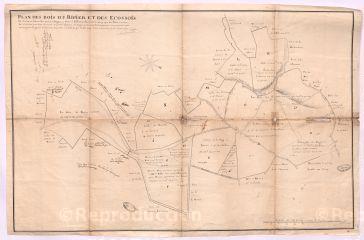 1 vue [Rahart, Danzé, Espereuse] : plan des bois du Ripier et des Ecossois [Ecossais] , [...], par Ergo, 30 août 1744, plume. Provenance : G 326.