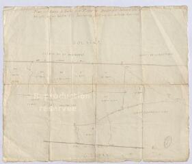 1 vue [Chambord] : plan des ventes de brulis de la forest de Boulongne [Boulogne], janvier 1735, plume.