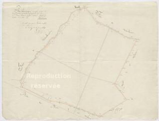 1 vue [Briou, Talcy] : plan géométrique d'une pièce de bois dite la Grande Vove ou vallée des Capucins [?], 10 janvier 1834, plume.