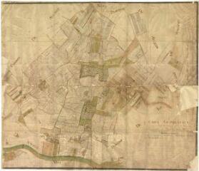 2 vues Naveil : carte géométrale de la seigneurerie de Montrieux (paroisse de Naveil) appartenant à Messire Jean Baptiste Donatien de Vimeur, [ca 1776]