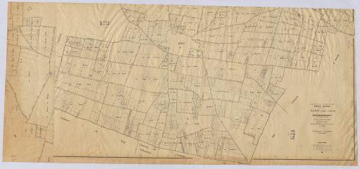 1 vue Naveil : carte géométrale de la seigneurerie de Montrieux (paroisse de Naveil) appartenant à Messire Jean Baptiste Donatien de Vimeur, [ca 1776]