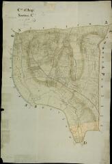 1 vue Angé : plans du cadastre napoléonien. Section C
