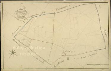 1 vue Autainville : plans du cadastre napoléonien. Section B1 dite de la viertiville