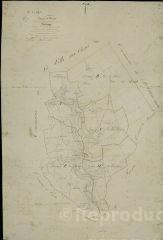 1 vue Busloup : plans du cadastre napoléonien. Tableau d'assemblage