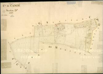 1 vue Candé-sur-Beuvron : plans du cadastre napoléonien. Section D2
