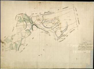 1 vue Chambon-sur-Cisse : plans du cadastre napoléonien. Tableau d'assemblage