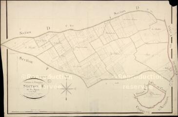 1 vue  - Champigny-en-Beauce : plans du cadastre napoléonien. Section E dite des epinêts (ouvre la visionneuse)