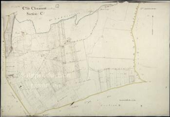 1 vue Chaumont-sur-Loire : plans du cadastre napoléonien. Section C1