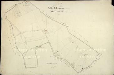 1 vue Chaumont-sur-Loire : plans du cadastre napoléonien. Section D2