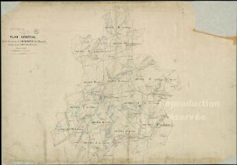 1 vue Chaumont-sur-Tharonne : plans du cadastre napoléonien. Tableau d'assemblage