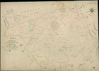 1 vue Chaumont-sur-Tharonne : plans du cadastre napoléonien. Section B dite de l'Etang