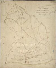 1 vue Chissay-en-Touraine : plans du cadastre napoléonien. Plan linéaire