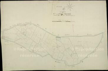 1 vue Cour-Cheverny : plans du cadastre napoléonien. Section D1 dite des perrodieres