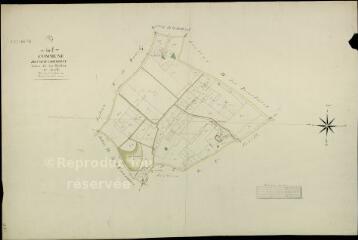 1 vue Cour-Cheverny : plans du cadastre napoléonien. Section G1 dite des murblins