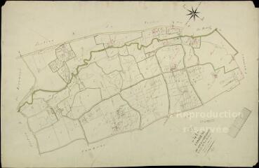 1 vue Cour-Cheverny : plans du cadastre napoléonien. Section K dite de la borderie