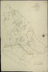 1 vue Cour-Cheverny : plans du cadastre napoléonien. Section L1 dite de beaumont