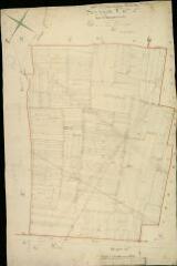 1 vue Courbouzon : plans du cadastre napoléonien. Section C1 dite de Champenoux