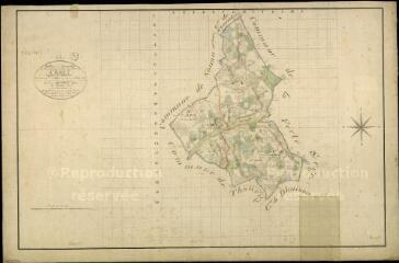 1 vue Crouy-sur-Cosson : plans du cadastre napoléonien. Tableau d'assemblage