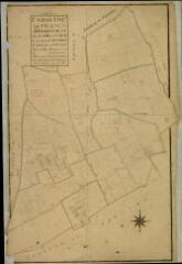 1 vue Feings : plans du cadastre napoléonien. Section B dite de fromentaux