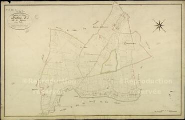 1 vue Feings : plans du cadastre napoléonien. Section E1 dite de bélyvière