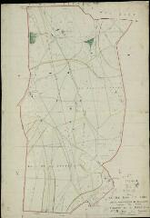1 vue Ferté-Saint-Cyr (La) : plans du cadastre napoléonien. Section B1 dite de Villabry